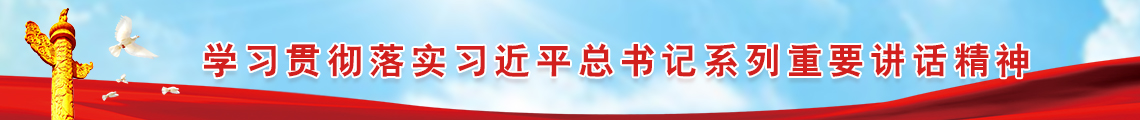 学习贯彻落实习近平总书记系列重要讲话精神.jpg